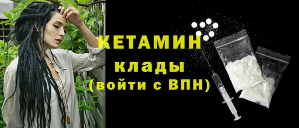 индика Анива