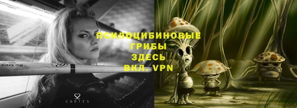 спиды Новокубанск