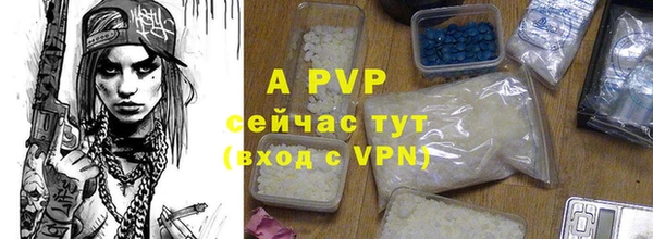 спиды Новокубанск