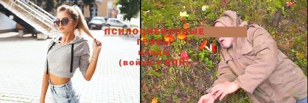 метамфетамин Новозыбков