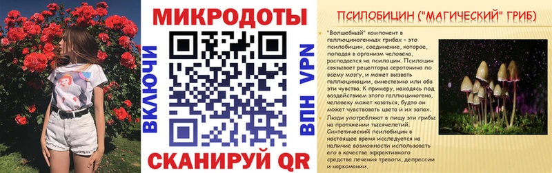 Псилоцибиновые грибы мицелий  что такое   Новодвинск 