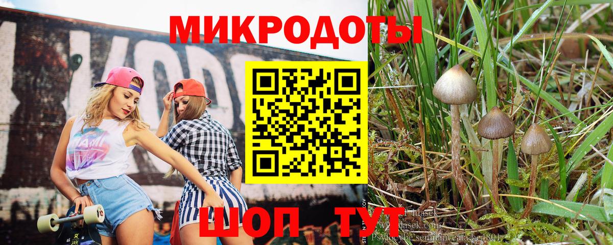 Галлюциногенные грибы Cubensis  Галлюциногенные грибы Magic Shrooms  Новодвинск  Вход с VPN 