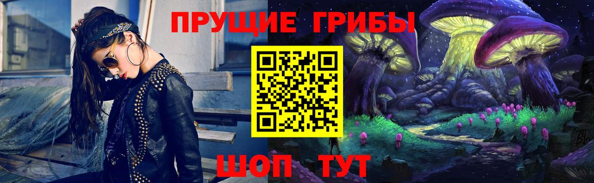 ГАШ Новодвинск