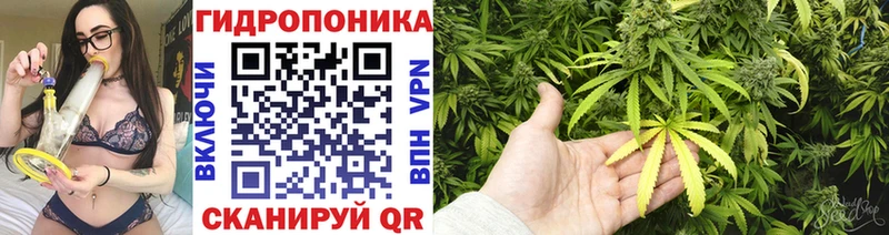 Канабис конопля Новодвинск